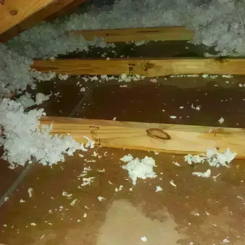 Attic Water Damage in Newark, TX