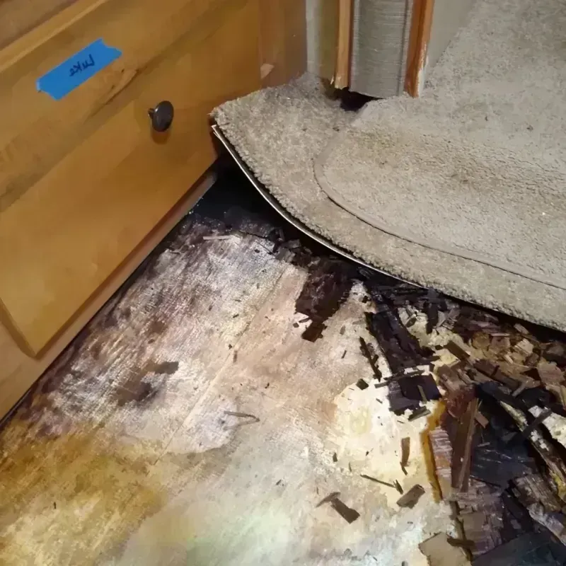 Wood Floor Water Damage in Newark, TX